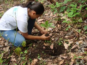 tree-planting-world-land-trust