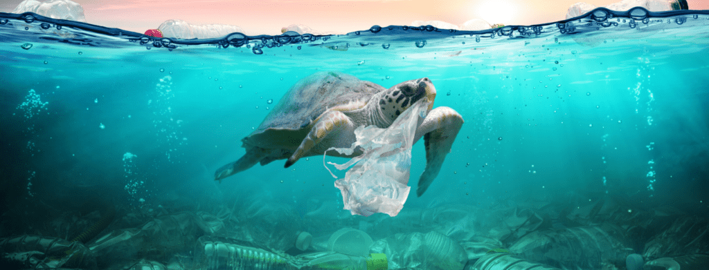 Plastic Free Bag Day
