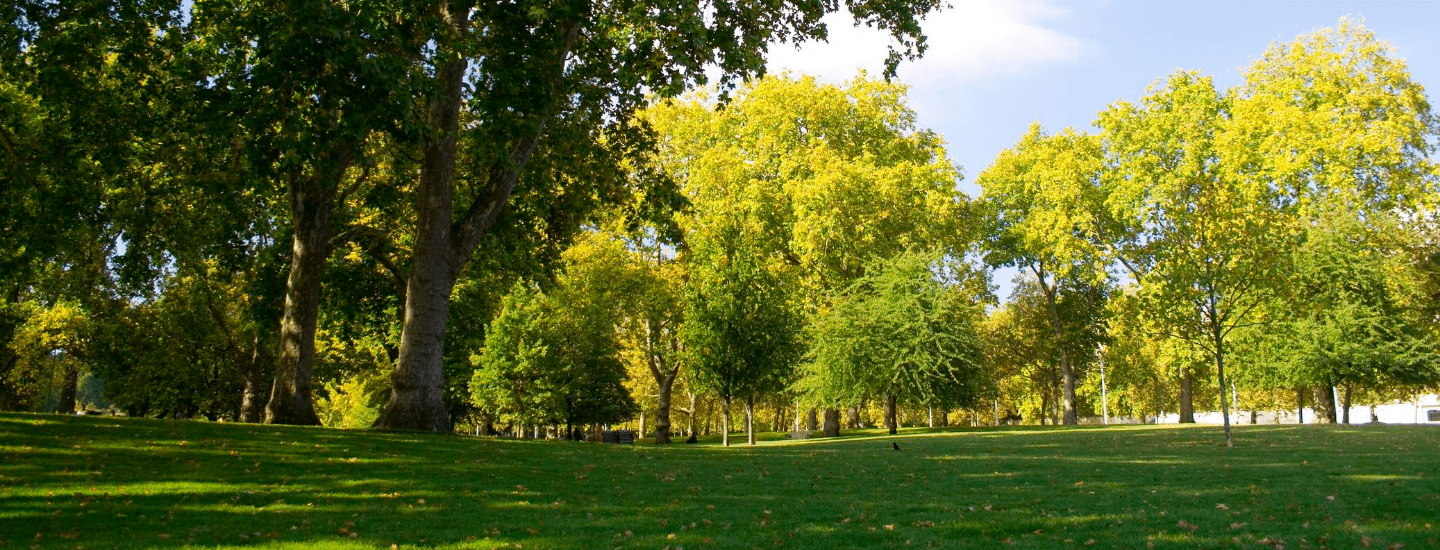 London Parks