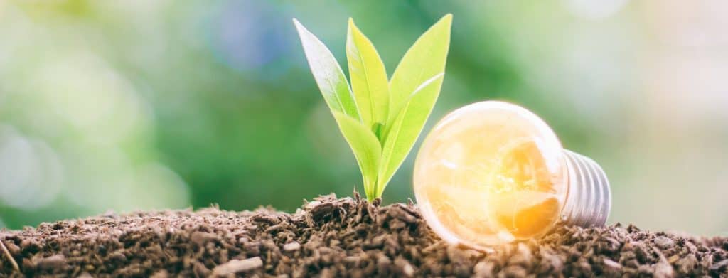 green-living-lightbulb-energy-saving-tips