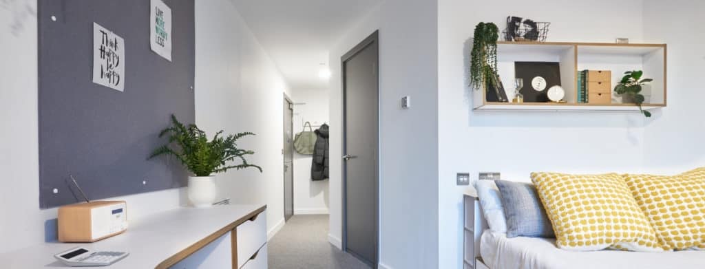 Best reasons to add greenery to your student home header image
