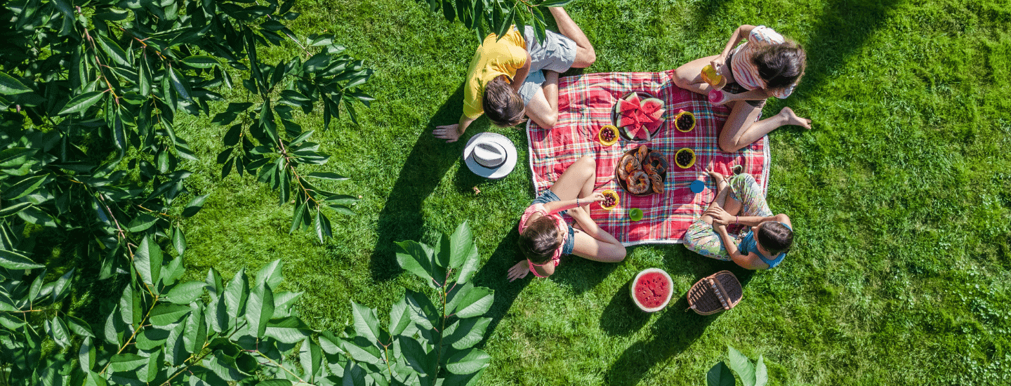 National Picnic Week Blanket Image