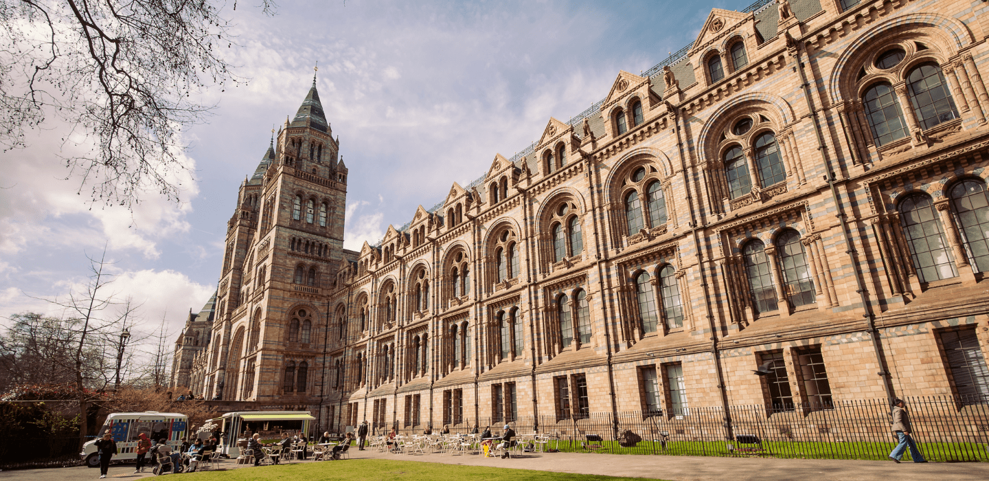 Free London Museums Natural History Museum
