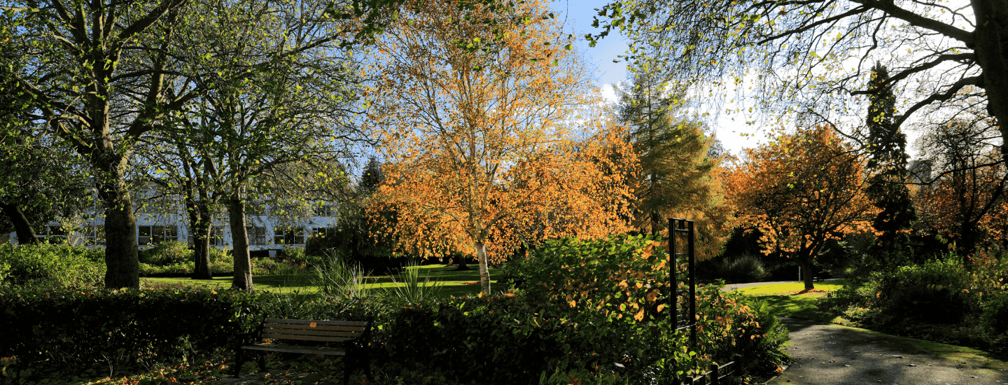 On your Leicester doorstep at 41 Castle Street