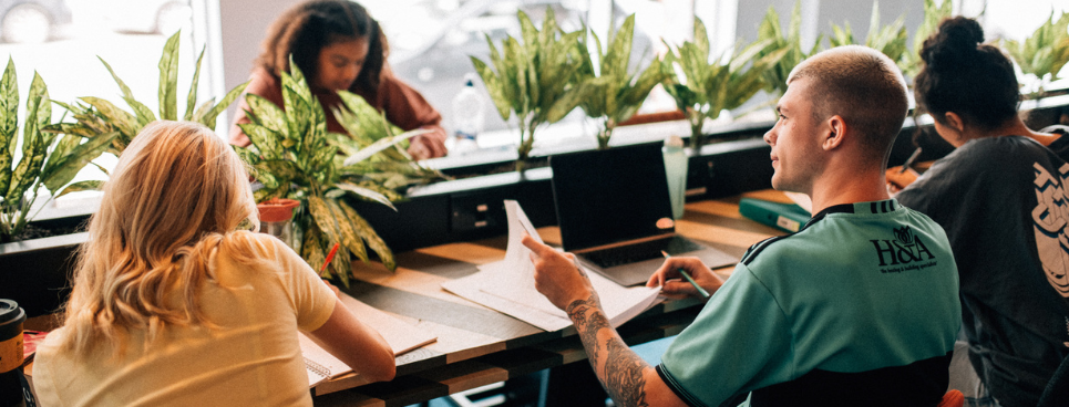 Harvard learning studying tips