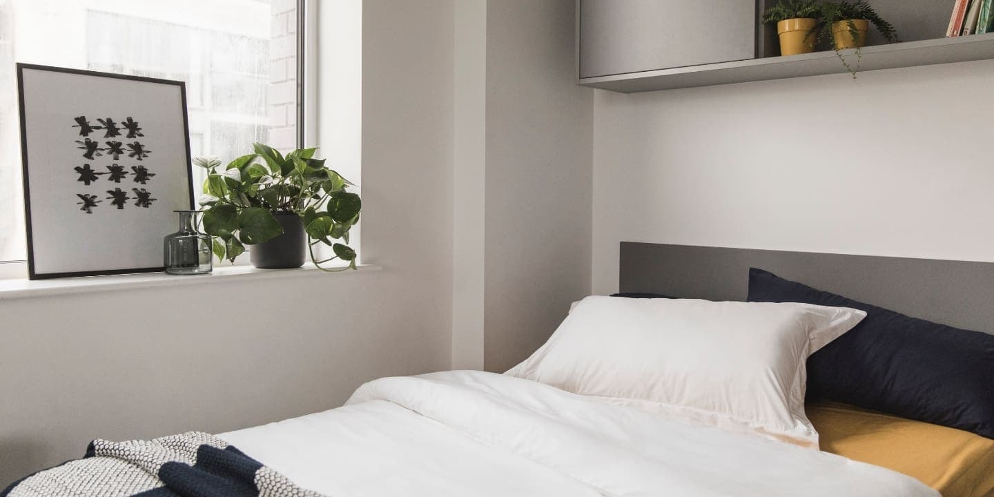 The Glassworks - Houseplants The Glassworks - Houseplants