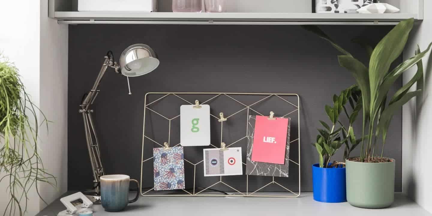 Point Campus - Dublin - Desk with greenery Point Campus - Dublin - Desk with greenery