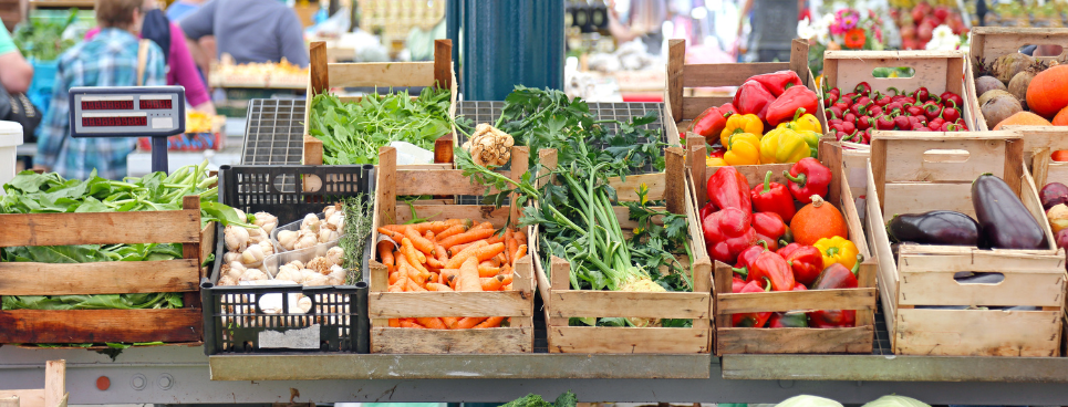 The best places to eat and shop in Southampton as an international