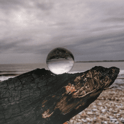 photography - Helping me during the stress awareness month