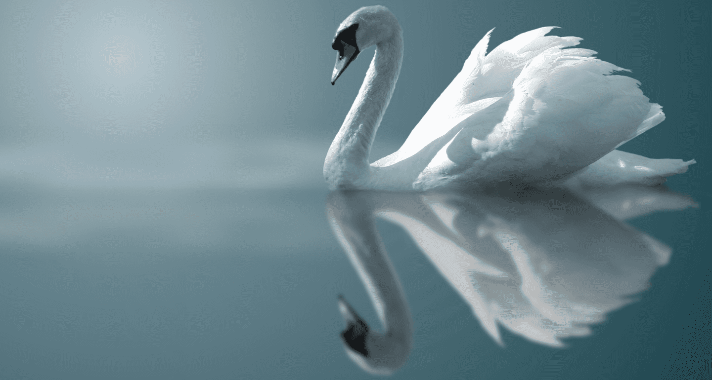 reflect on what you want from a new routine