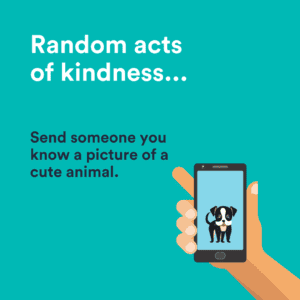 send someone a picture of a cute animal
